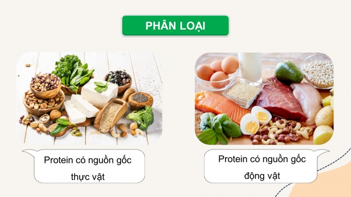 Giáo án điện tử Công nghệ 9 Chế biến thực phẩm Kết nối Bài 1: Thành phần dinh dưỡng trong thực phẩm