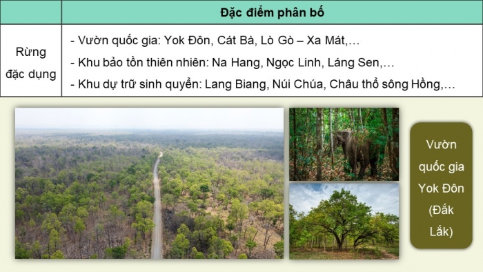 Giáo án điện tử Địa lí 9 chân trời Bài 4: Nông nghiệp, lâm nghiệp, thủy sản (bổ sung)