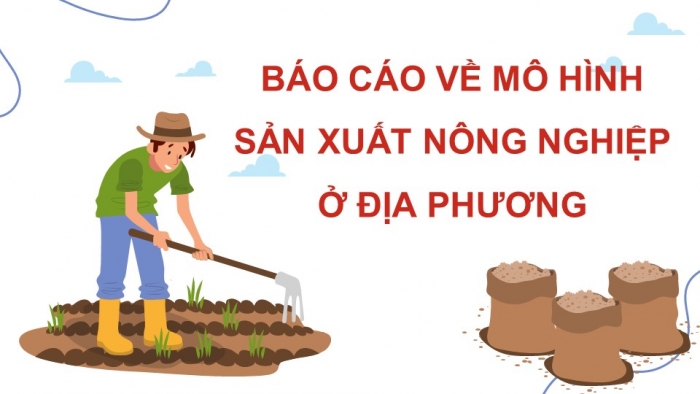 Giáo án điện tử Địa lí 9 chân trời Bài 5: Thực hành Viết báo cáo về một số mô hình sản xuất nông nghiệp có hiệu quả