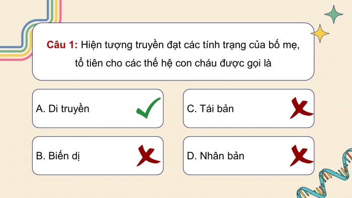 Giáo án điện tử KHTN 9 kết nối - Phân môn Sinh học Bài Ôn tập giữa học kì 1