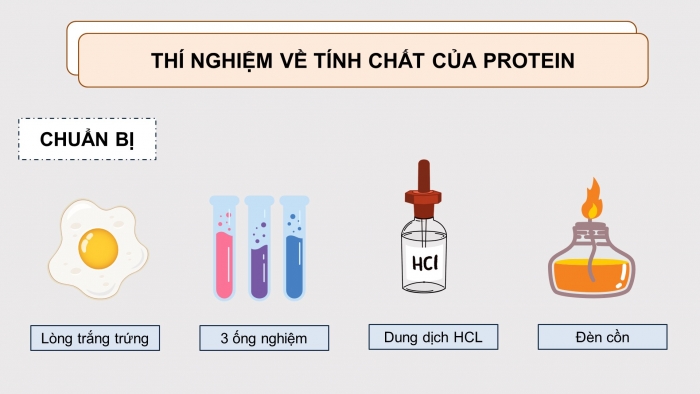 Giáo án điện tử KHTN 9 kết nối - Phân môn Hoá học Bài 31: Protein