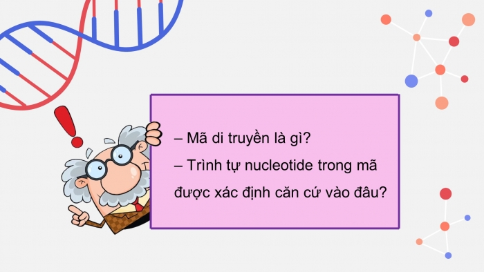 Giáo án điện tử KHTN 9 kết nối - Phân môn Sinh học Bài 40: Dịch mã và mối quan hệ từ gene đến tính trạng