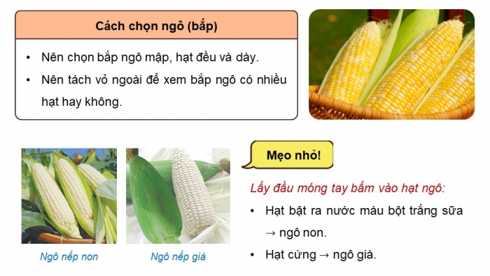 Giáo án điện tử Công nghệ 9 Chế biến thực phẩm Kết nối Bài 2: Lựa chọn và bảo quản thực phẩm