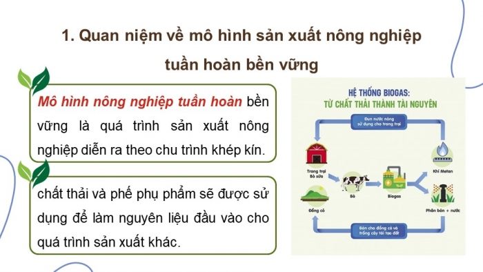 Giáo án điện tử Địa lí 9 chân trời Bài 5: Thực hành Viết báo cáo về một số mô hình sản xuất nông nghiệp có hiệu quả