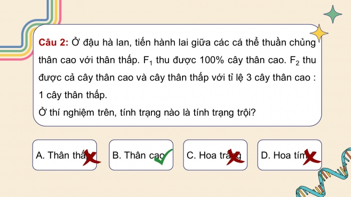 Giáo án điện tử KHTN 9 kết nối - Phân môn Sinh học Bài Ôn tập giữa học kì 1