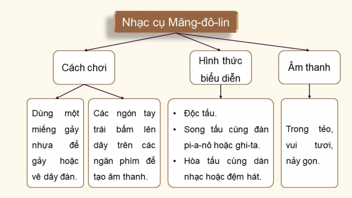 Giáo án điện tử Âm nhạc 5 chân trời Tiết 4: Thường thức âm nhạc Giới thiệu nhạc cụ nước ngoài, Nhà ga âm nhạc