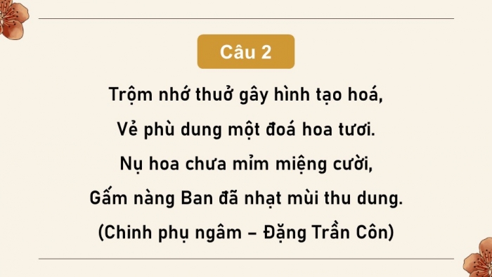 Giáo án PPT dạy thêm Ngữ văn 9 Cánh diều bài 2: Ôn tập thực hành tiếng Việt