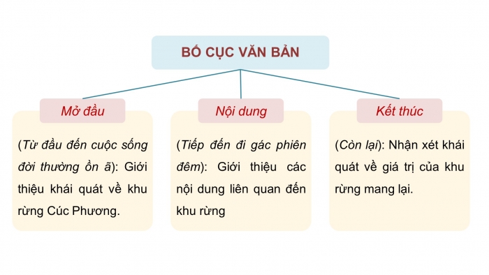 Giáo án PPT dạy thêm Ngữ văn 9 Chân trời bài 3: Vườn Quốc gia Cúc Phương (Theo Đào Thị Luyến, Hoàng Trà My, Hoàng Lan Anh)