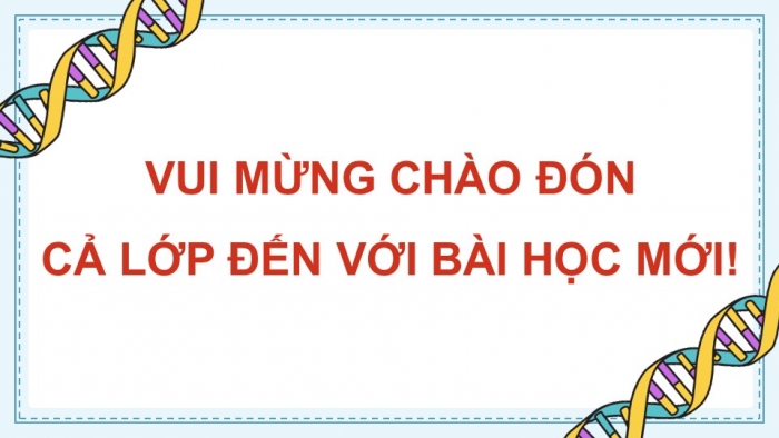 Giáo án điện tử KHTN 9 kết nối - Phân môn Sinh học Bài 37: Các quy luật di truyền của Mendel