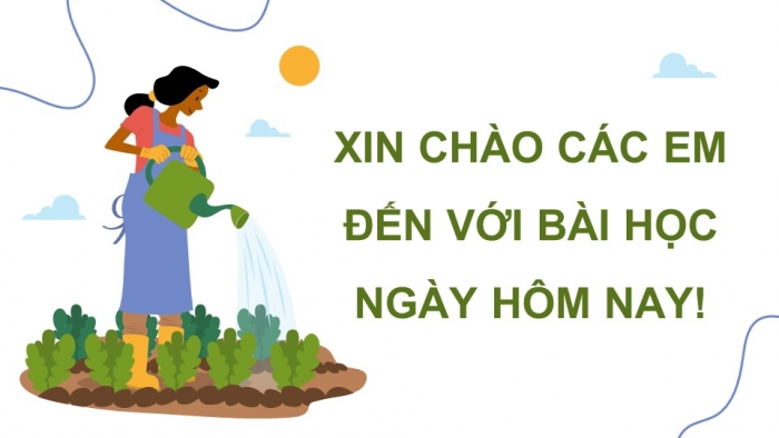 Giáo án điện tử Địa lí 9 chân trời Bài 5: Thực hành Viết báo cáo về một số mô hình sản xuất nông nghiệp có hiệu quả