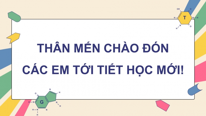 Giáo án điện tử KHTN 9 kết nối - Phân môn Sinh học Bài Ôn tập giữa học kì 1