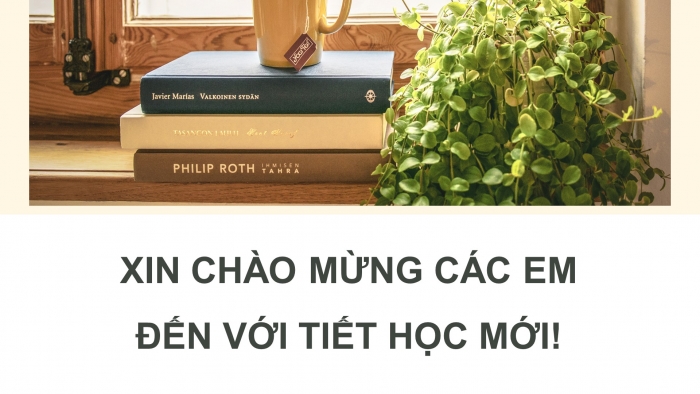 Giáo án PPT dạy thêm Ngữ văn 9 Cánh diều bài 5: Bàn về đọc sách (Chu Quang Tiềm)