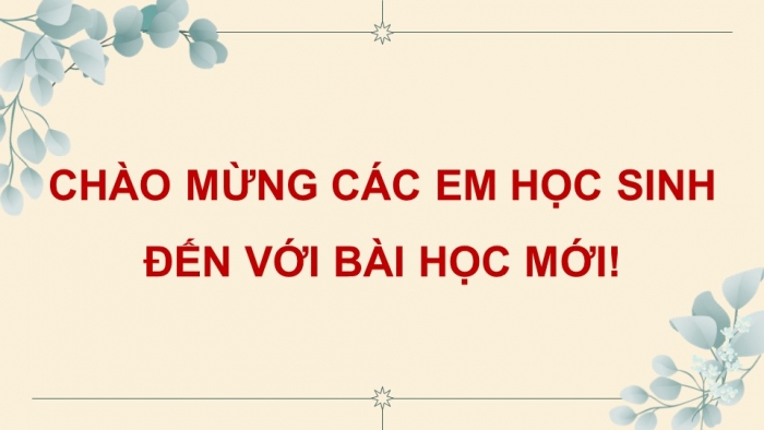 Giáo án PPT dạy thêm Ngữ văn 9 Cánh diều bài 10: Ôn tập thực hành tiếng Việt