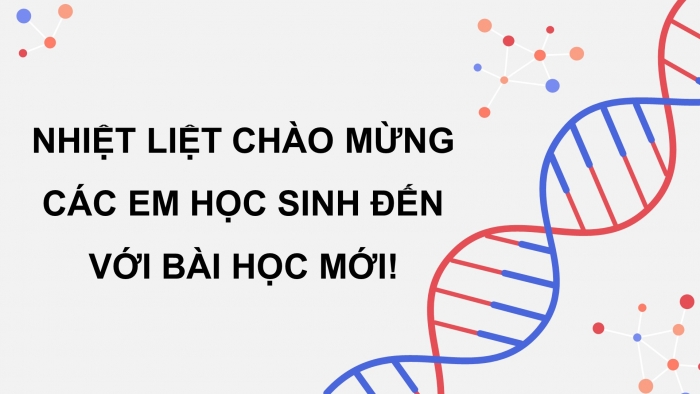 Giáo án điện tử KHTN 9 kết nối - Phân môn Sinh học Bài 40: Dịch mã và mối quan hệ từ gene đến tính trạng