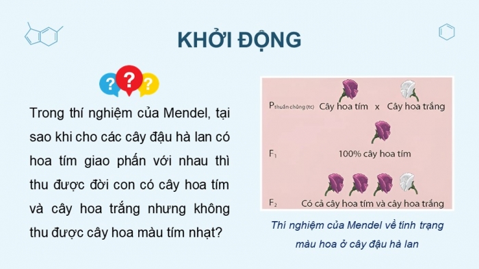 Giáo án điện tử KHTN 9 kết nối - Phân môn Sinh học Bài 37: Các quy luật di truyền của Mendel