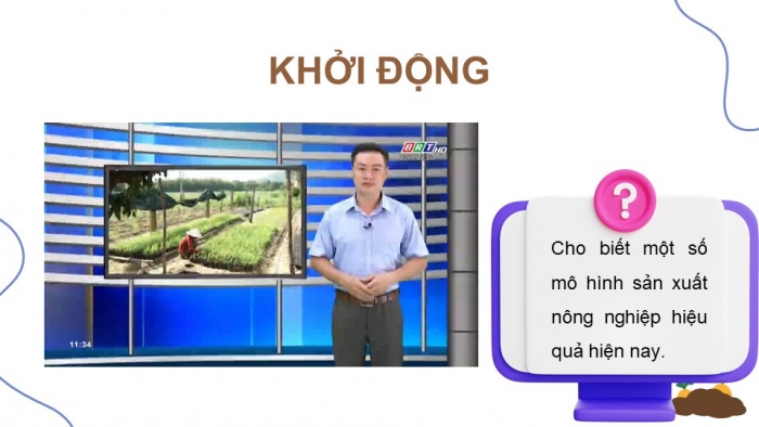 Giáo án điện tử Địa lí 9 chân trời Bài 5: Thực hành Viết báo cáo về một số mô hình sản xuất nông nghiệp có hiệu quả