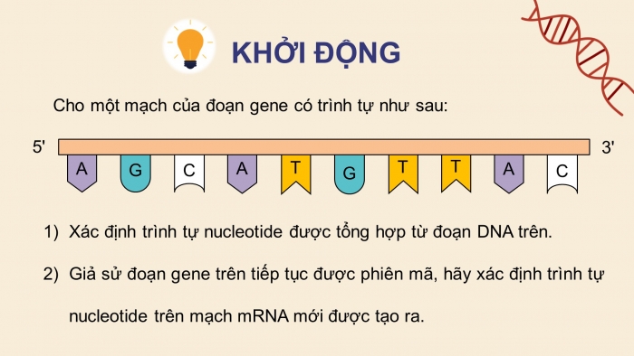 Giáo án điện tử KHTN 9 kết nối - Phân môn Sinh học Bài Ôn tập giữa học kì 1