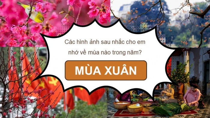 Giáo án PPT dạy thêm Ngữ văn 9 Cánh diều bài 2: Cảnh ngày xuân (Trích Truyện Kiều – Nguyễn Du)