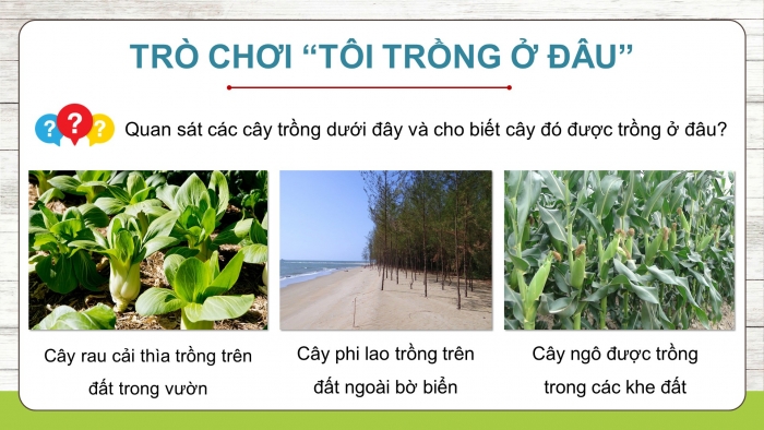 Giáo án điện tử Khoa học 5 kết nối Bài 1: Thành phần và vai trò của đất đối với cây trồng