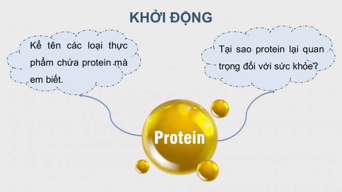 Giáo án điện tử KHTN 9 kết nối - Phân môn Hoá học Bài 31: Protein