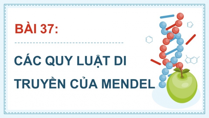 Giáo án điện tử KHTN 9 kết nối - Phân môn Sinh học Bài 37: Các quy luật di truyền của Mendel