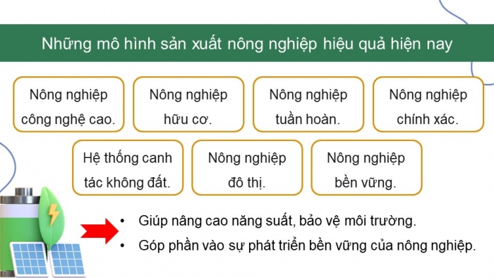 Giáo án điện tử Địa lí 9 chân trời Bài 5: Thực hành Viết báo cáo về một số mô hình sản xuất nông nghiệp có hiệu quả