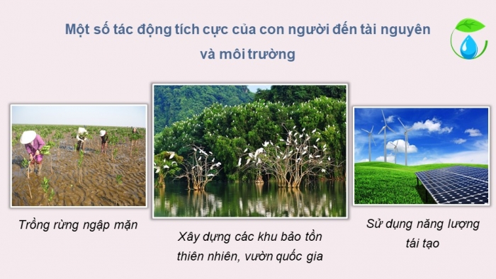 Giáo án điện tử Địa lí 12 chân trời Bài 6: Thực hành Sử dụng hợp lí tài nguyên và bảo vệ môi trường địa phương