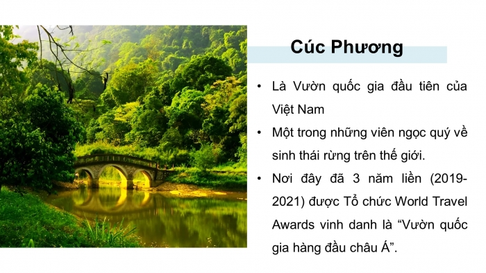 Giáo án PPT dạy thêm Ngữ văn 9 Chân trời bài 3: Vườn Quốc gia Cúc Phương (Theo Đào Thị Luyến, Hoàng Trà My, Hoàng Lan Anh)