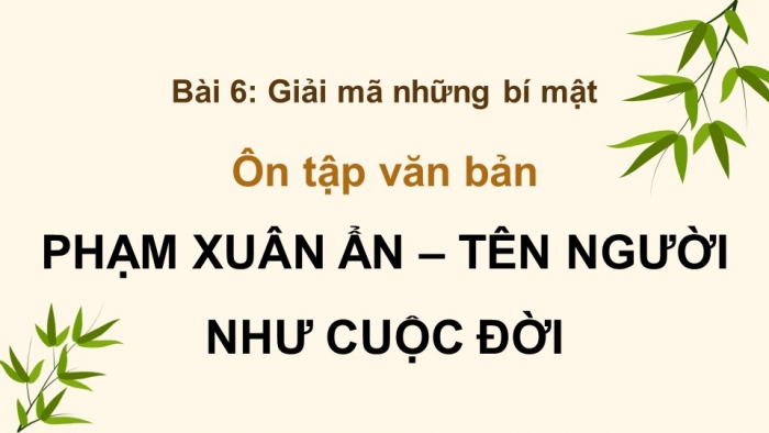 Giáo án PPT dạy thêm Ngữ văn 9 Kết nối bài 6: Phạm Xuân Ẩn – tên người như cuộc đời (trích, Nguyễn Thị Ngọc Hải)