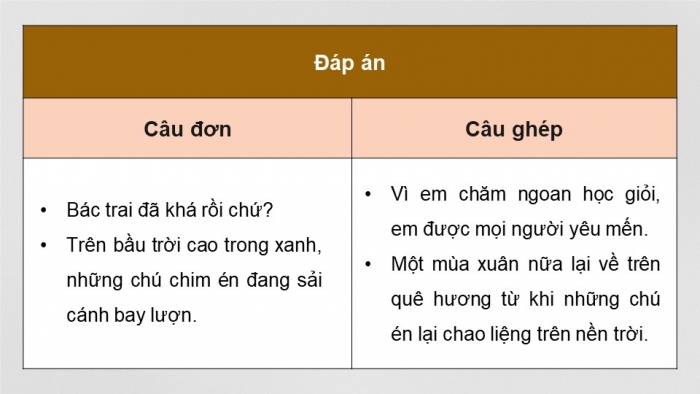 Giáo án PPT dạy thêm Ngữ văn 9 Kết nối bài 6: Ôn tập thực hành tiếng Việt (2)