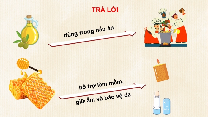 Giáo án điện tử KHTN 9 kết nối - Phân môn Hoá học Bài 28: Lipid