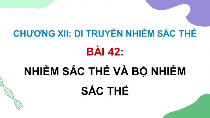 Giáo án điện tử KHTN 9 kết nối - Phân môn Sinh học Bài 42: Nhiễm sắc thể và bộ nhiễm sắc thể