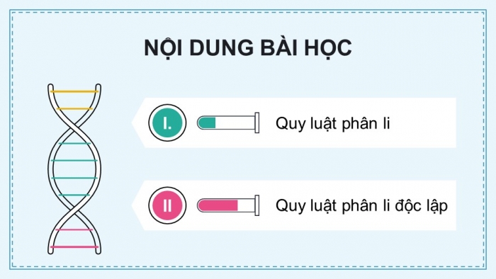 Giáo án điện tử KHTN 9 kết nối - Phân môn Sinh học Bài 37: Các quy luật di truyền của Mendel