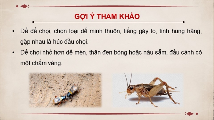 Giáo án PPT dạy thêm Ngữ văn 9 Kết nối bài 1: Dế chọi (Bồ Tùng Linh)