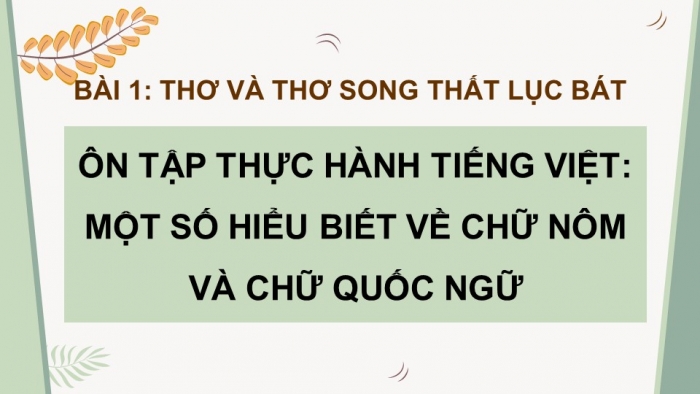 Giáo án PPT dạy thêm Ngữ văn 9 Cánh diều bài 1: Ôn tập thực hành tiếng Việt