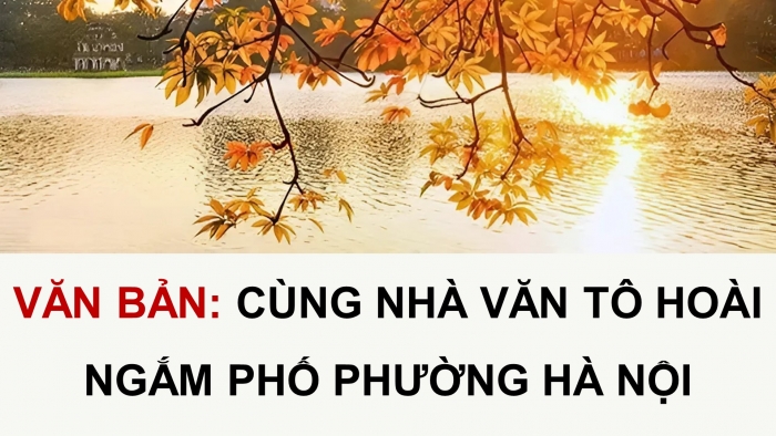 Giáo án PPT dạy thêm Ngữ văn 9 Cánh diều bài 8: Cùng nhà văn Tô Hoài ngắm phố phường Hà Nội (Trần Đăng Khoa)