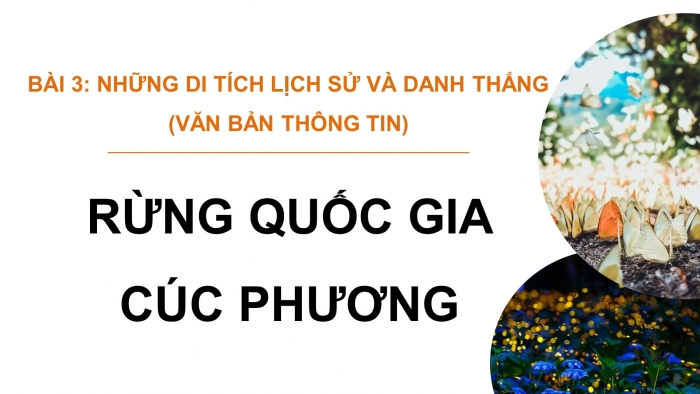 Giáo án PPT dạy thêm Ngữ văn 9 Chân trời bài 3: Vườn Quốc gia Cúc Phương (Theo Đào Thị Luyến, Hoàng Trà My, Hoàng Lan Anh)