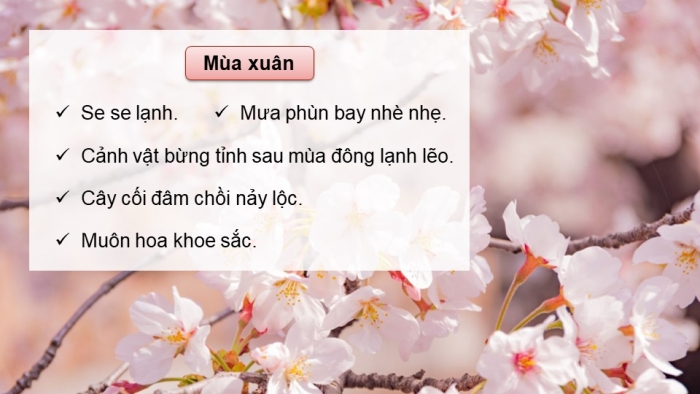 Giáo án PPT dạy thêm Tiếng Việt 5 chân trời bài 7: Bài đọc Chớm thu. Luyện từ và câu Sử dụng từ điển. Viết bài văn tả phong cảnh (Bài viết số 1)