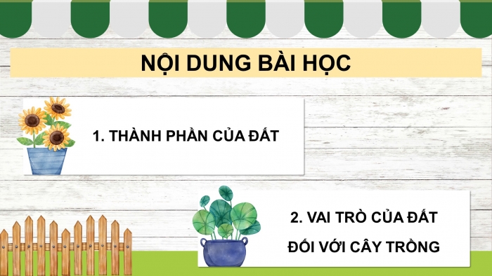 Giáo án điện tử Khoa học 5 kết nối Bài 1: Thành phần và vai trò của đất đối với cây trồng