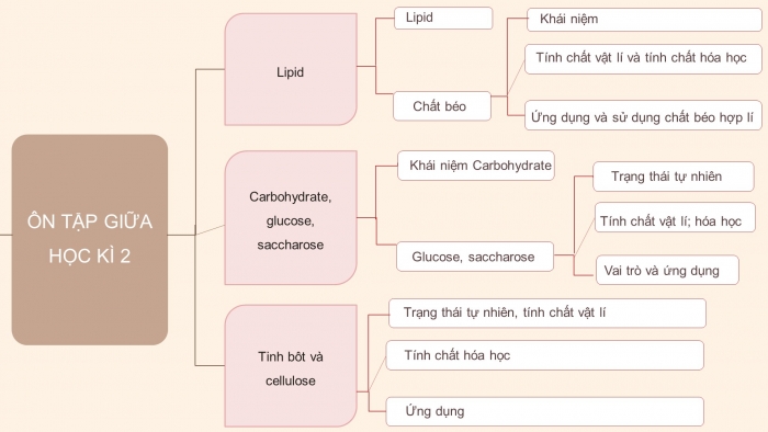 Giáo án điện tử KHTN 9 kết nối - Phân môn Hoá học Bài Ôn tập giữa học kì 2