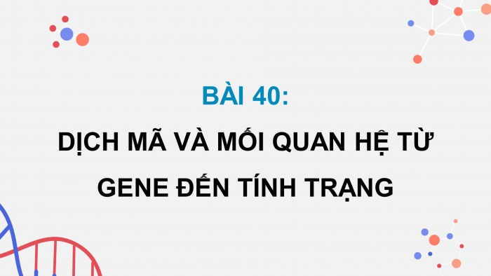 Giáo án điện tử KHTN 9 kết nối - Phân môn Sinh học Bài 40: Dịch mã và mối quan hệ từ gene đến tính trạng