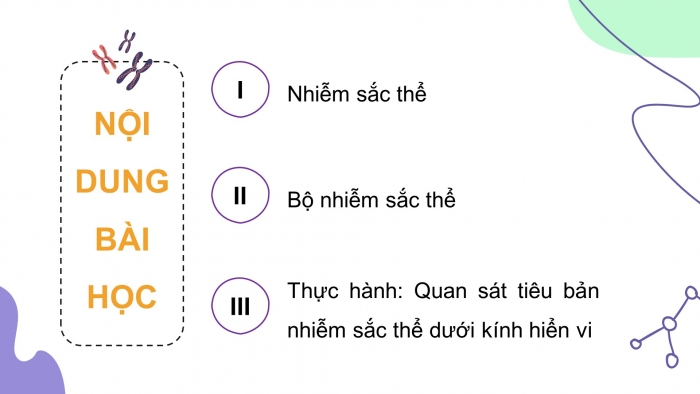 Giáo án điện tử KHTN 9 kết nối - Phân môn Sinh học Bài 42: Nhiễm sắc thể và bộ nhiễm sắc thể