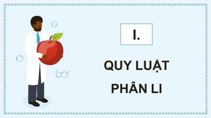 Giáo án điện tử KHTN 9 kết nối - Phân môn Sinh học Bài 37: Các quy luật di truyền của Mendel