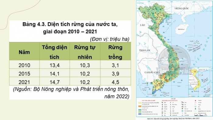 Giáo án điện tử Địa lí 9 chân trời Bài 4: Nông nghiệp, lâm nghiệp, thủy sản (bổ sung)