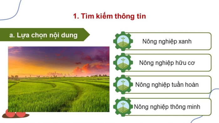 Giáo án điện tử Địa lí 9 chân trời Bài 5: Thực hành Viết báo cáo về một số mô hình sản xuất nông nghiệp có hiệu quả