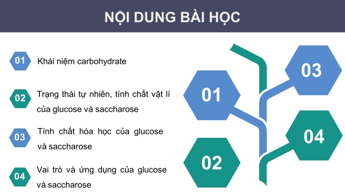 Giáo án điện tử KHTN 9 kết nối - Phân môn Hoá học Bài 29: Carbohydrate. Glucose và saccharose