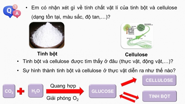 Giáo án điện tử KHTN 9 kết nối - Phân môn Hoá học Bài 30: Tinh bột và cellulose