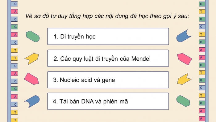 Giáo án điện tử KHTN 9 kết nối - Phân môn Sinh học Bài Ôn tập giữa học kì 1