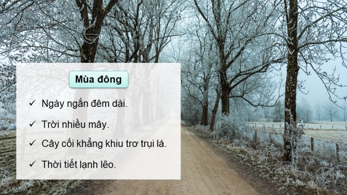 Giáo án PPT dạy thêm Tiếng Việt 5 chân trời bài 7: Bài đọc Chớm thu. Luyện từ và câu Sử dụng từ điển. Viết bài văn tả phong cảnh (Bài viết số 1)