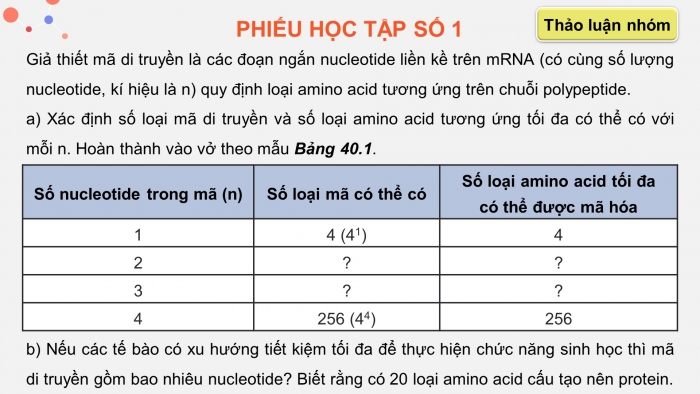 Giáo án điện tử KHTN 9 kết nối - Phân môn Sinh học Bài 40: Dịch mã và mối quan hệ từ gene đến tính trạng